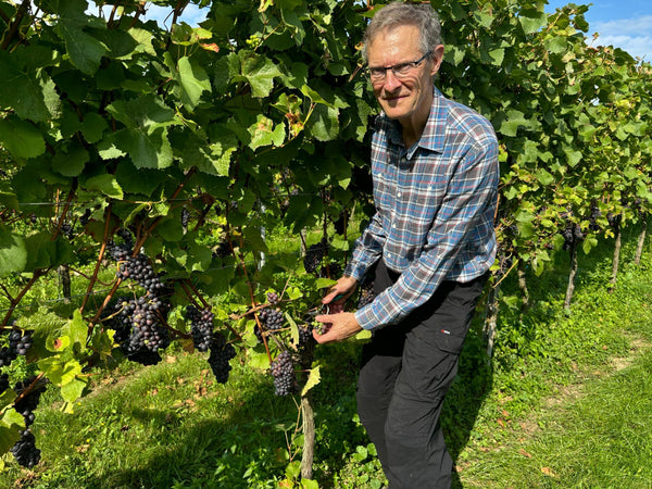 Green harvesting - Heppington