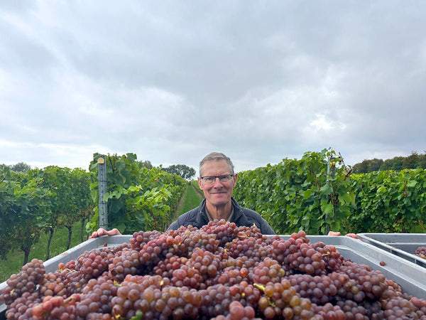 Gris Harvest - Heppington