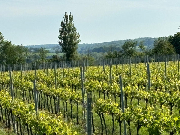 South Facing - Heppington