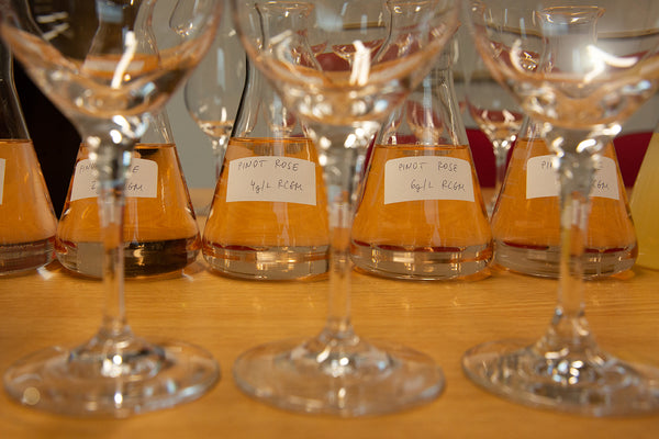 Sampling the wines of 2022