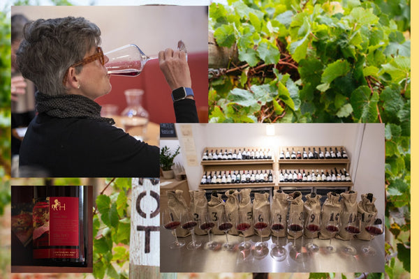 English Pinot Noir, from near to there - Heppington