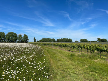 Flowers and Vines - Heppington