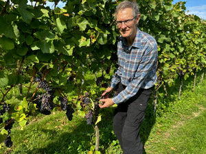 Green harvesting - Heppington