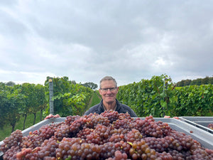 Gris Harvest - Heppington