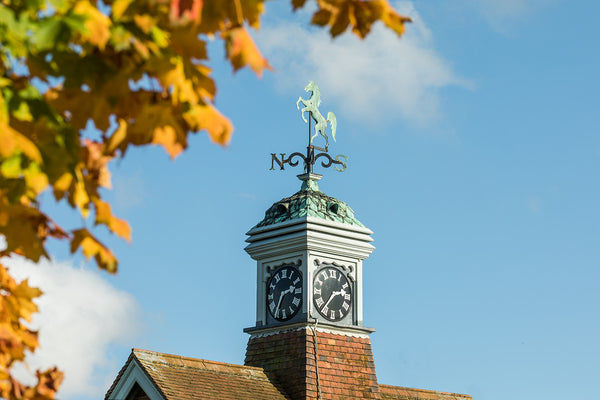 Historic Kent Farm Weather vein