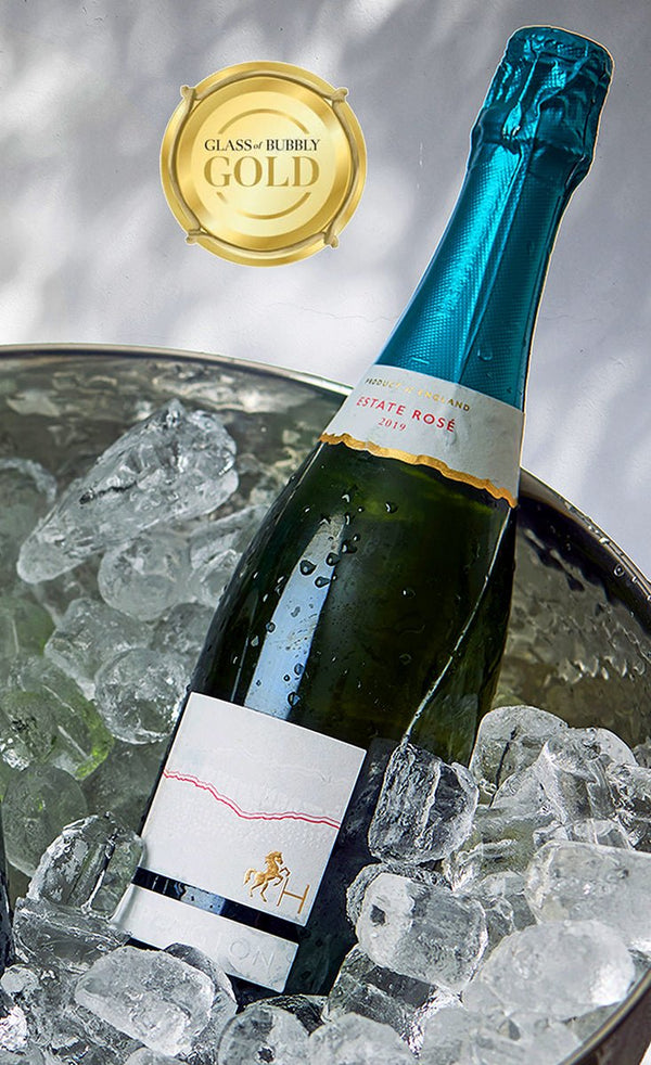 Heppington Sparkling Rosé 2019 - Case of 6 - Heppington