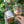 Heppington Trio Collection - Heppington